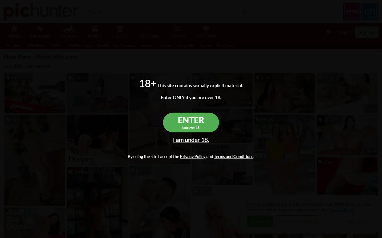 Screenshot of Pichunter